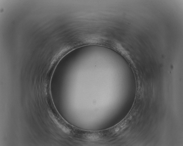 X0000062880106200601171458