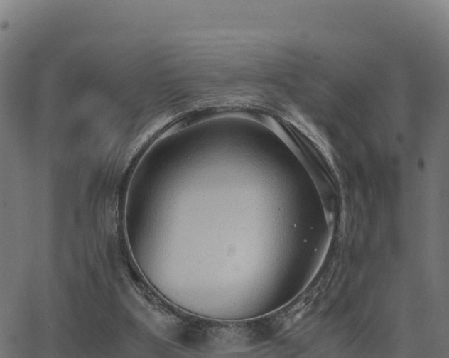 X0000062880107200601171458