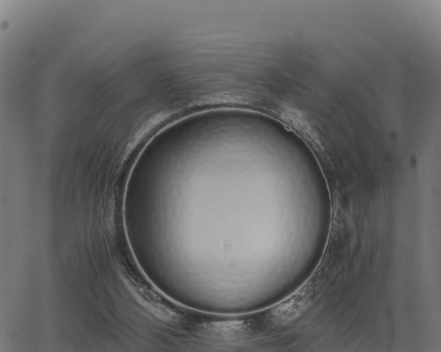 X0000062880108200601171458