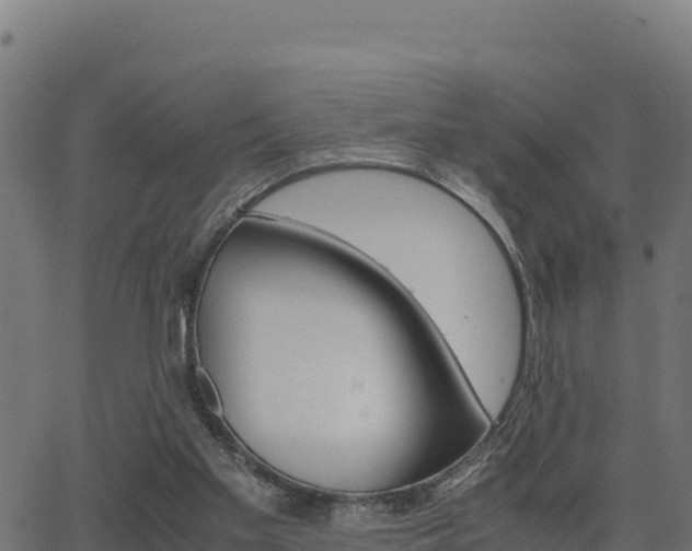 X0000062880109200601171458