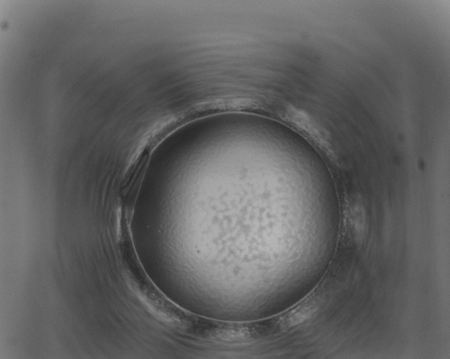 X0000062880110200601171458