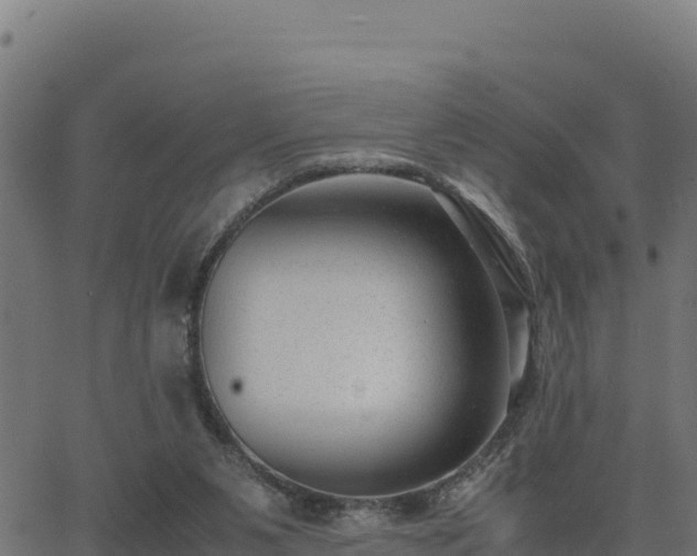 X0000062880111200601171458