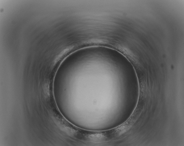 X0000062880112200601171458