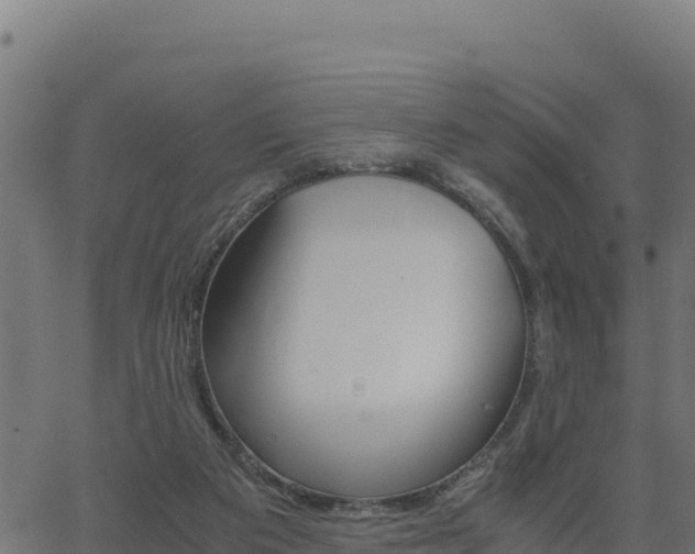 X0000062880113200601171458