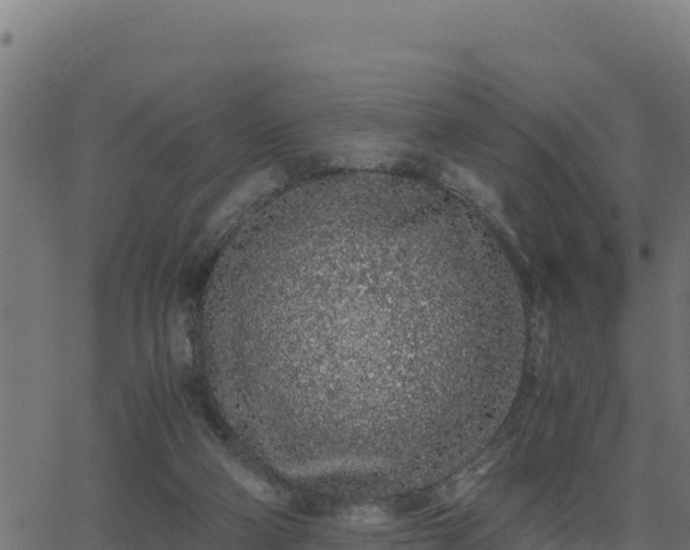 X0000062880114200601171458