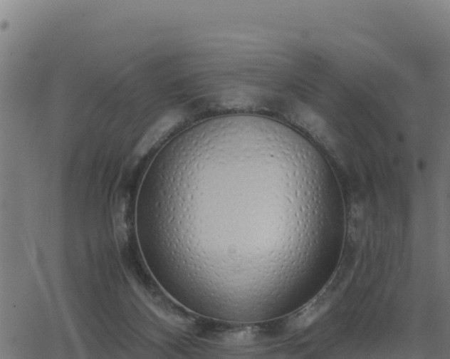 X0000062880116200601171458