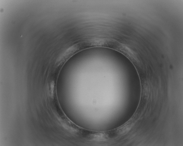 X0000062880118200601171457