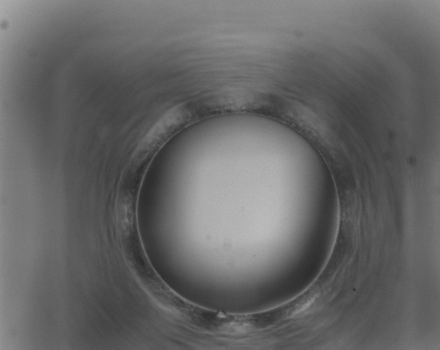 X0000062880119200601171457