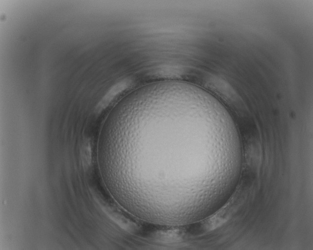 X0000062880120200601171457