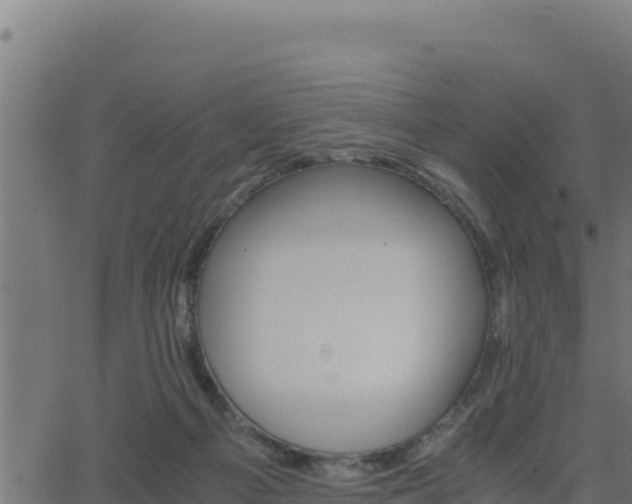 X0000062880121200601171457