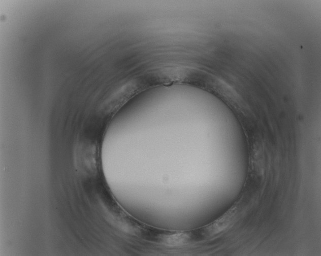 X0000062880122200601171457