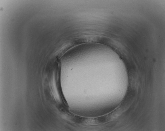 X0000062880123200601171457