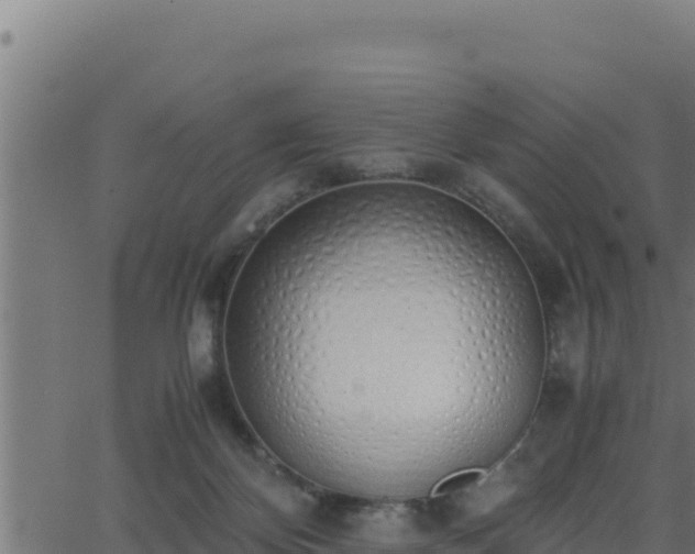 X0000062880124200601171457