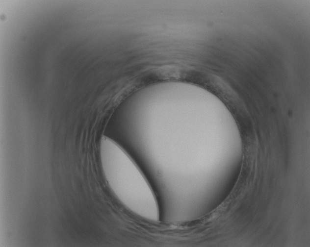 X0000062880125200601171457