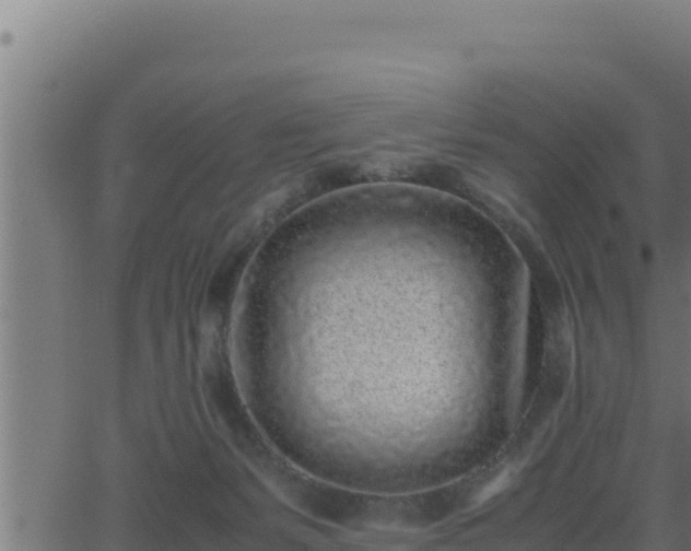 X0000062880127200601171457