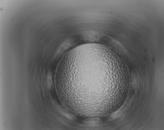 X0000062880128200601171457