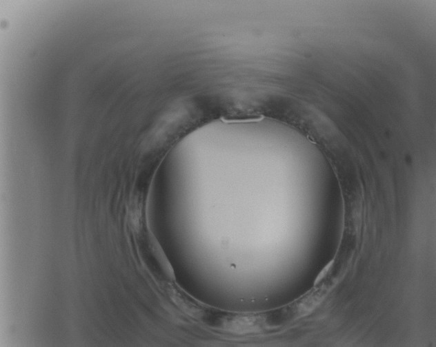 X0000062880129200601171457