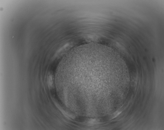 X0000062880130200601171457