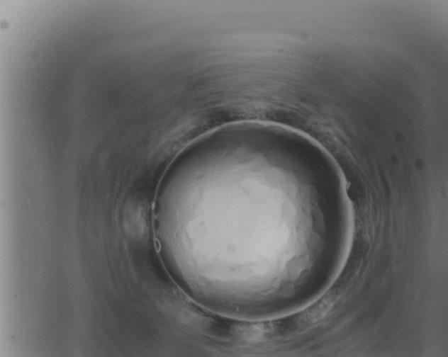 X0000062880131200601171457