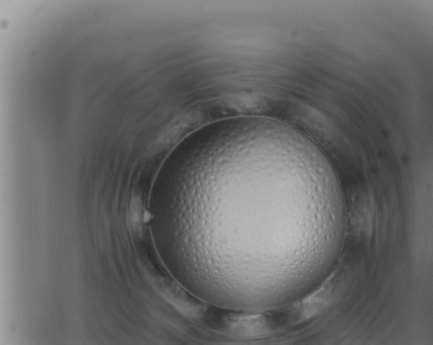 X0000062880132200601171457