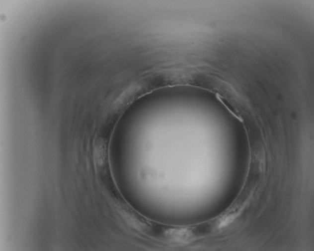 X0000062880133200601171457