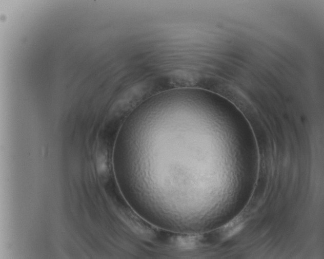 X0000062880134200601171457