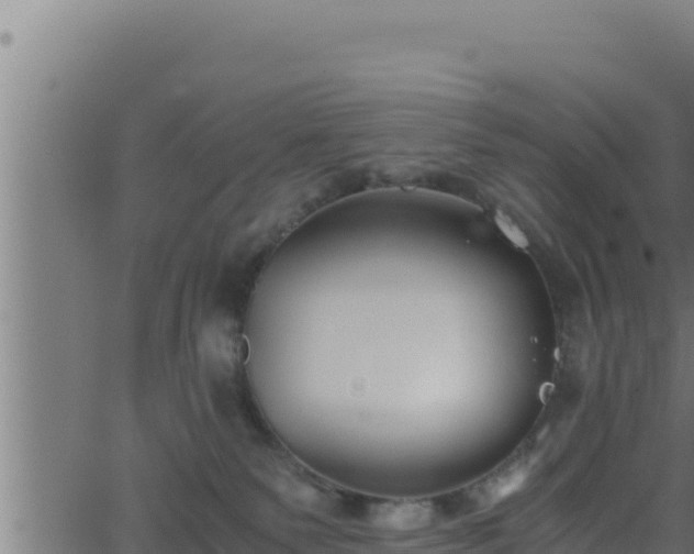 X0000062880135200601171457