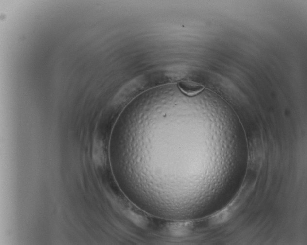 X0000062880136200601171457