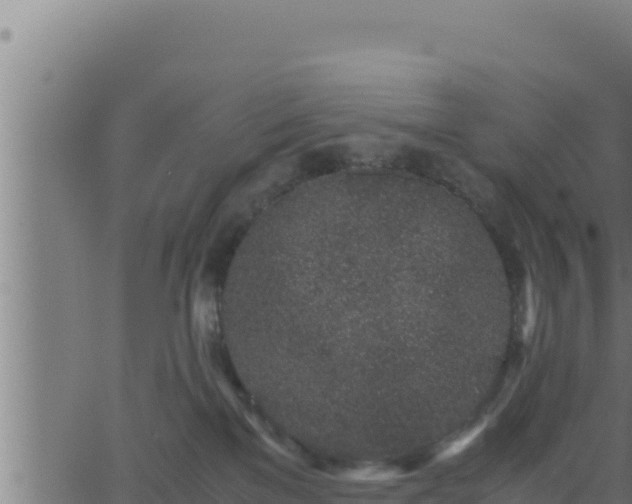 X0000062880137200601171457