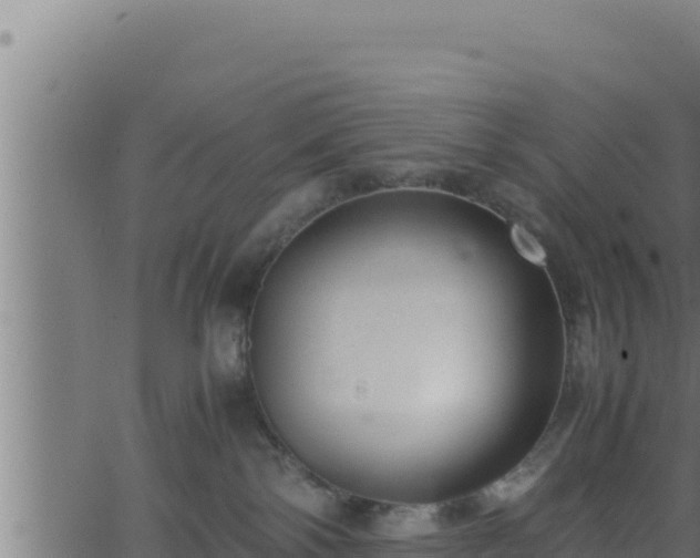 X0000062880138200601171457