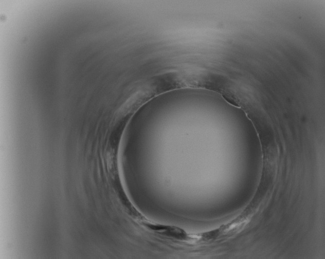 X0000062880139200601171457