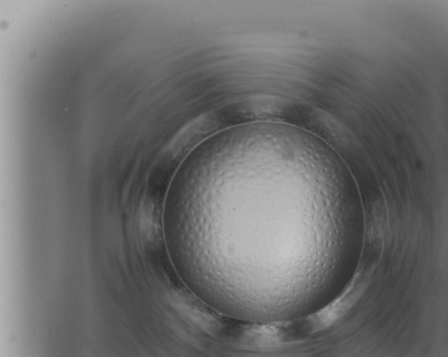 X0000062880140200601171457