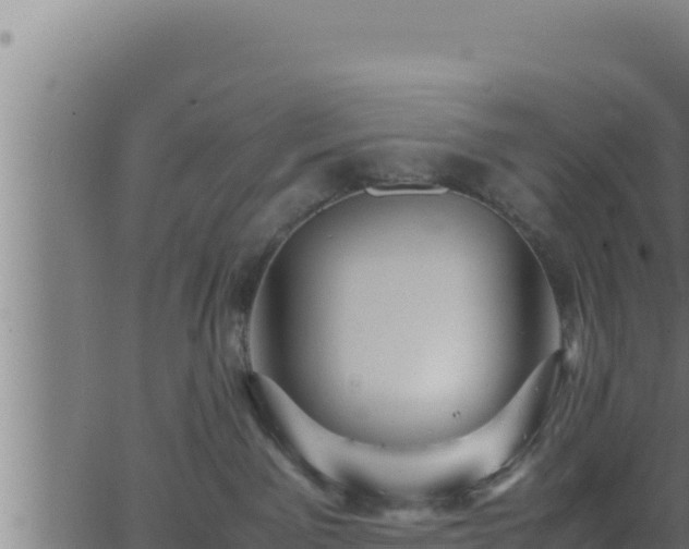 X0000062880141200601171457