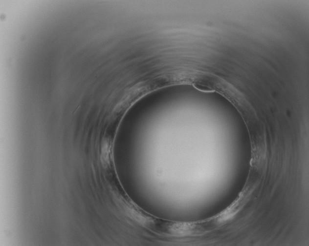 X0000062880142200601171457