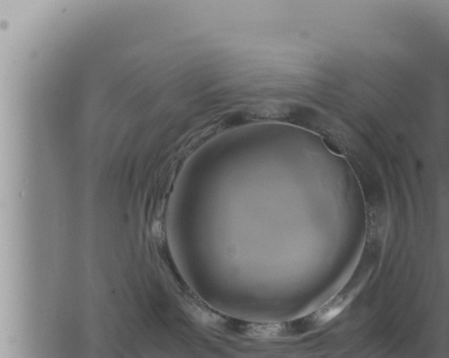 X0000062880143200601171457