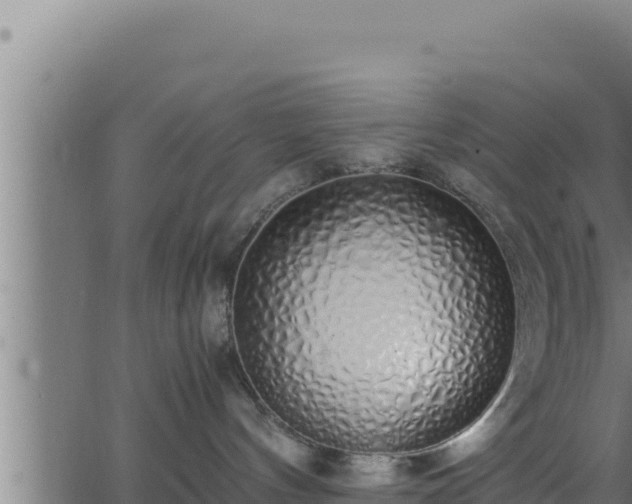 X0000062880144200601171457