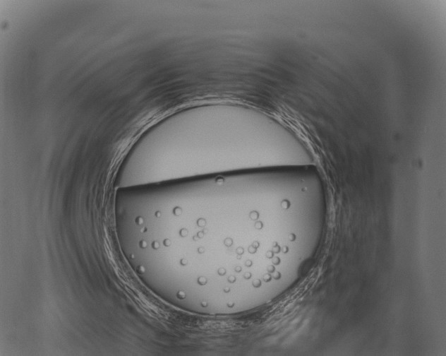 X0000062880145200601171456