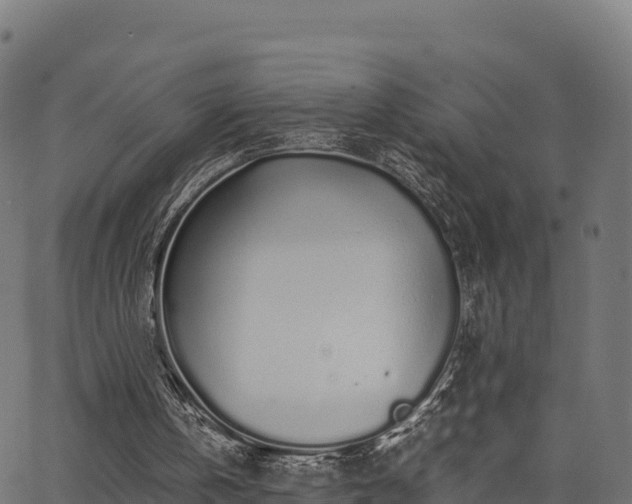 X0000062880146200601171456