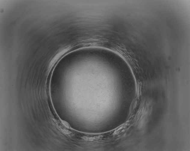 X0000062880147200601171456