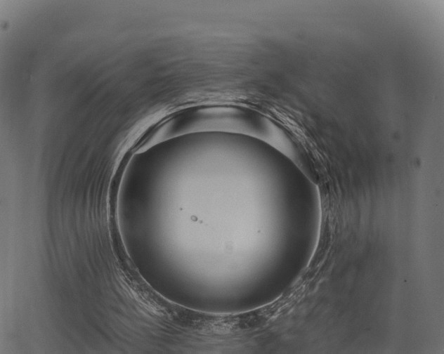 X0000062880148200601171456