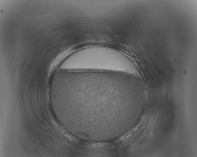 X0000062880149200601171456