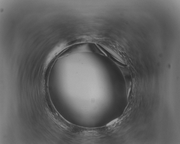 X0000062880150200601171456