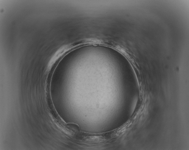 X0000062880151200601171456