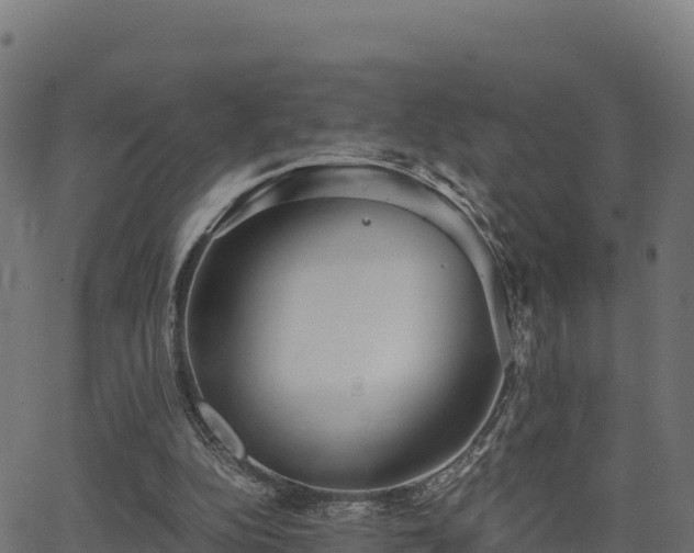 X0000062880152200601171456