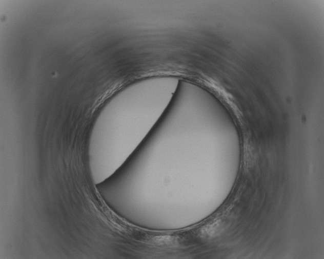 X0000062880153200601171456