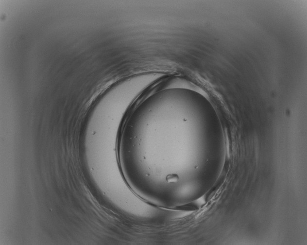 X0000062880154200601171456