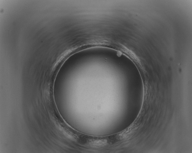 X0000062880155200601171456