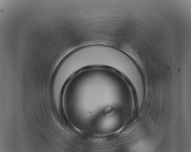 X0000062880156200601171456