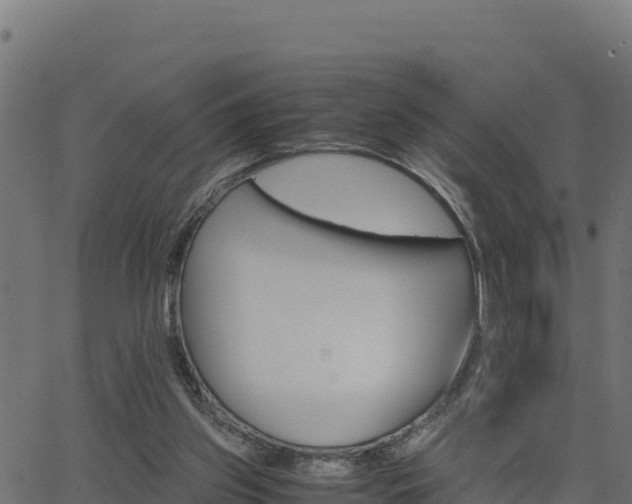 X0000062880157200601171456