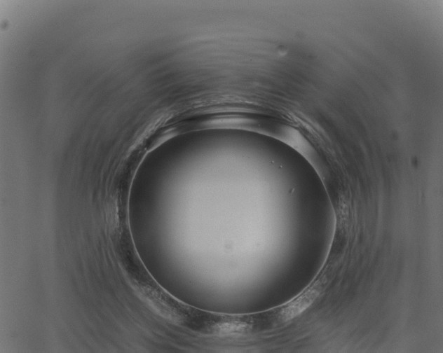 X0000062880158200601171456